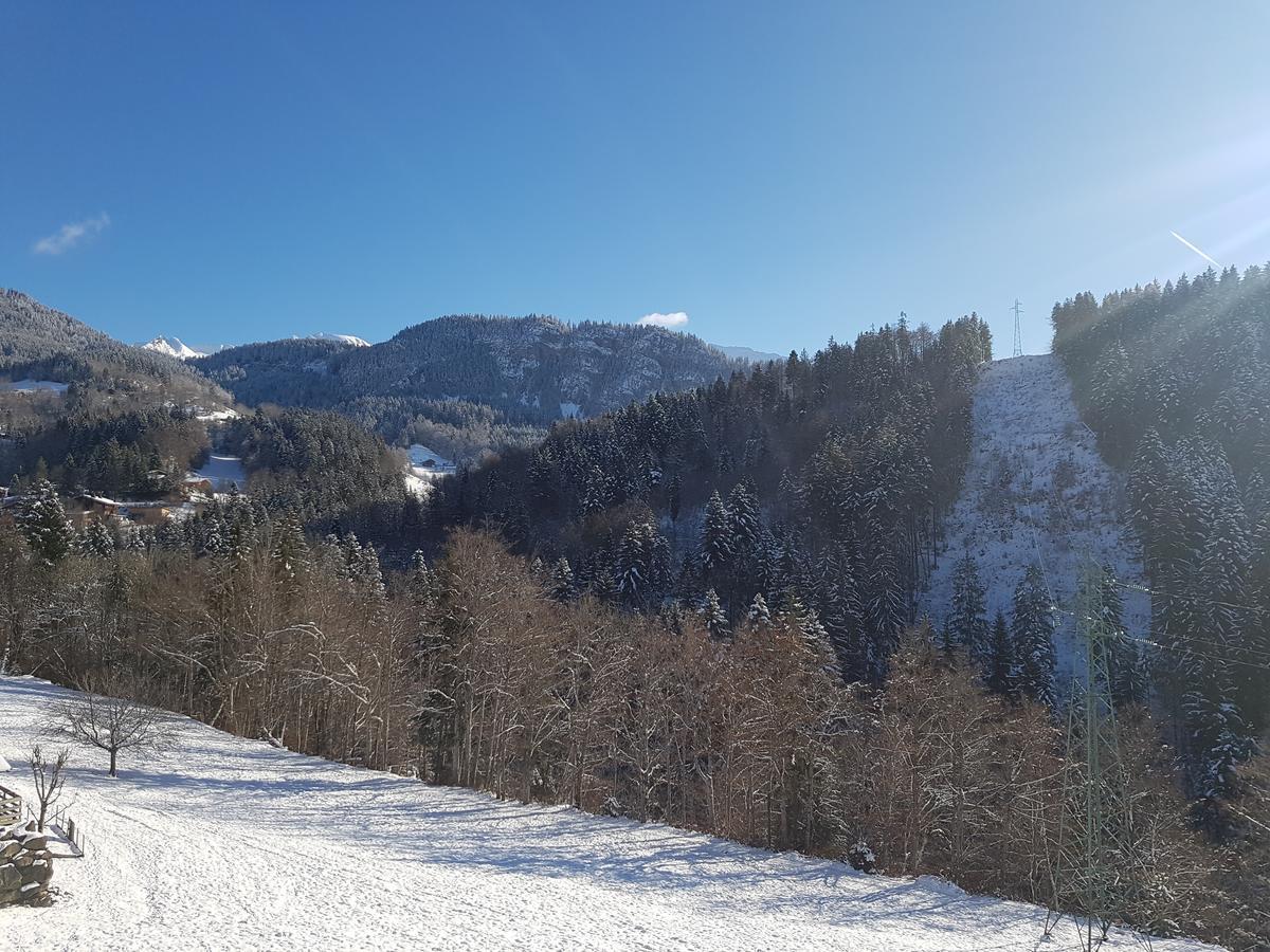 Appt Primeveres - Centre Village, Vue Montagne - Aravistour Saint-Jean-de-Sixt Eksteriør billede